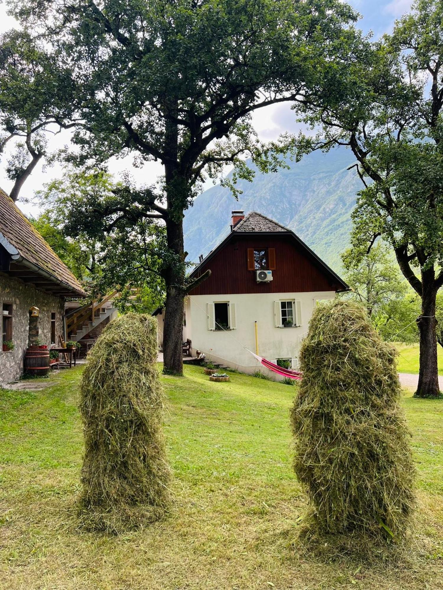 Apartments Mala Korita Soce Соча Экстерьер фото