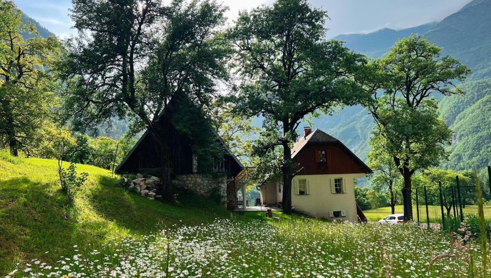 Apartments Mala Korita Soce Соча Экстерьер фото